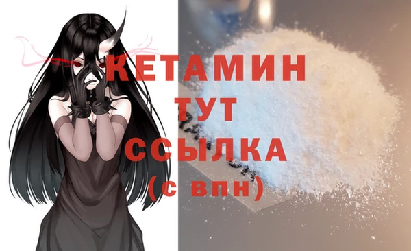 кокс Арсеньев