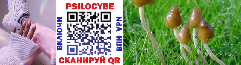 Псилоцибиновые грибы Magic Shrooms Луга